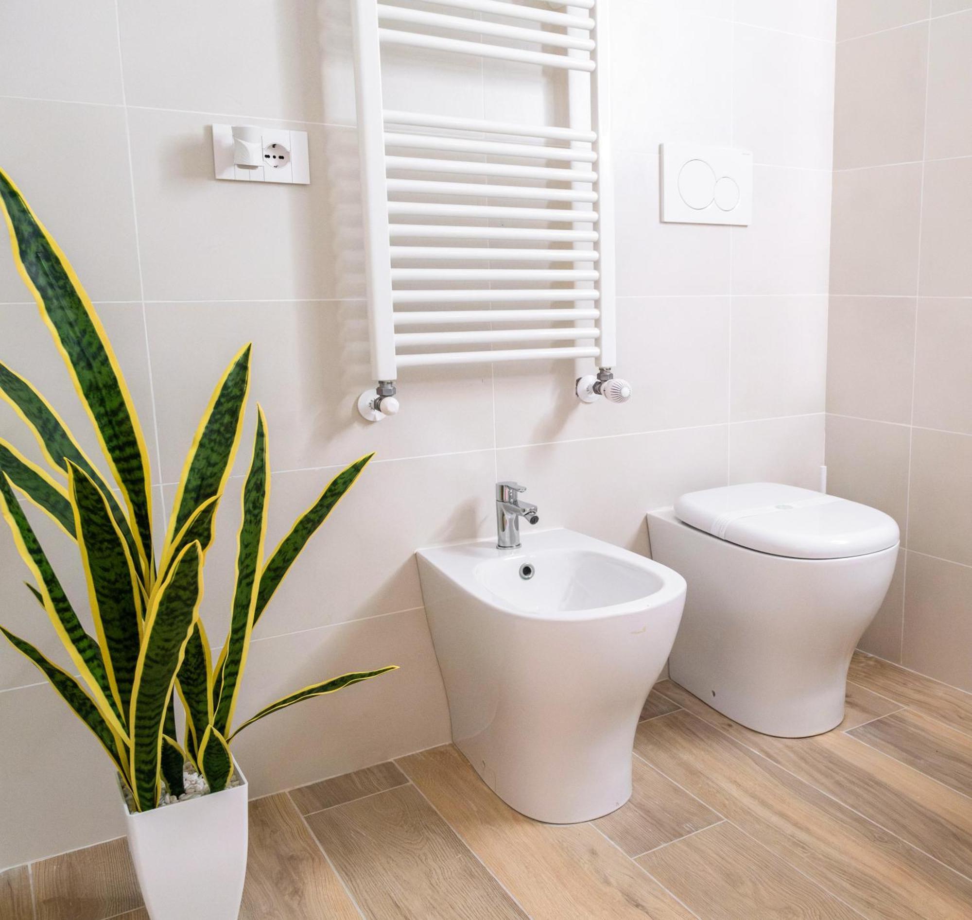 Aviana Suite Bolonia Zewnętrze zdjęcie
